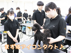 1年生が継続してステイの練習！